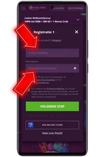 Eerste fase van de registratie