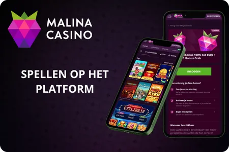 Spellen op het platform Malina Casino